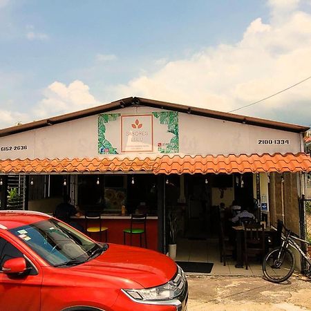 Tico Bed & Breakfast La Fortuna Dış mekan fotoğraf