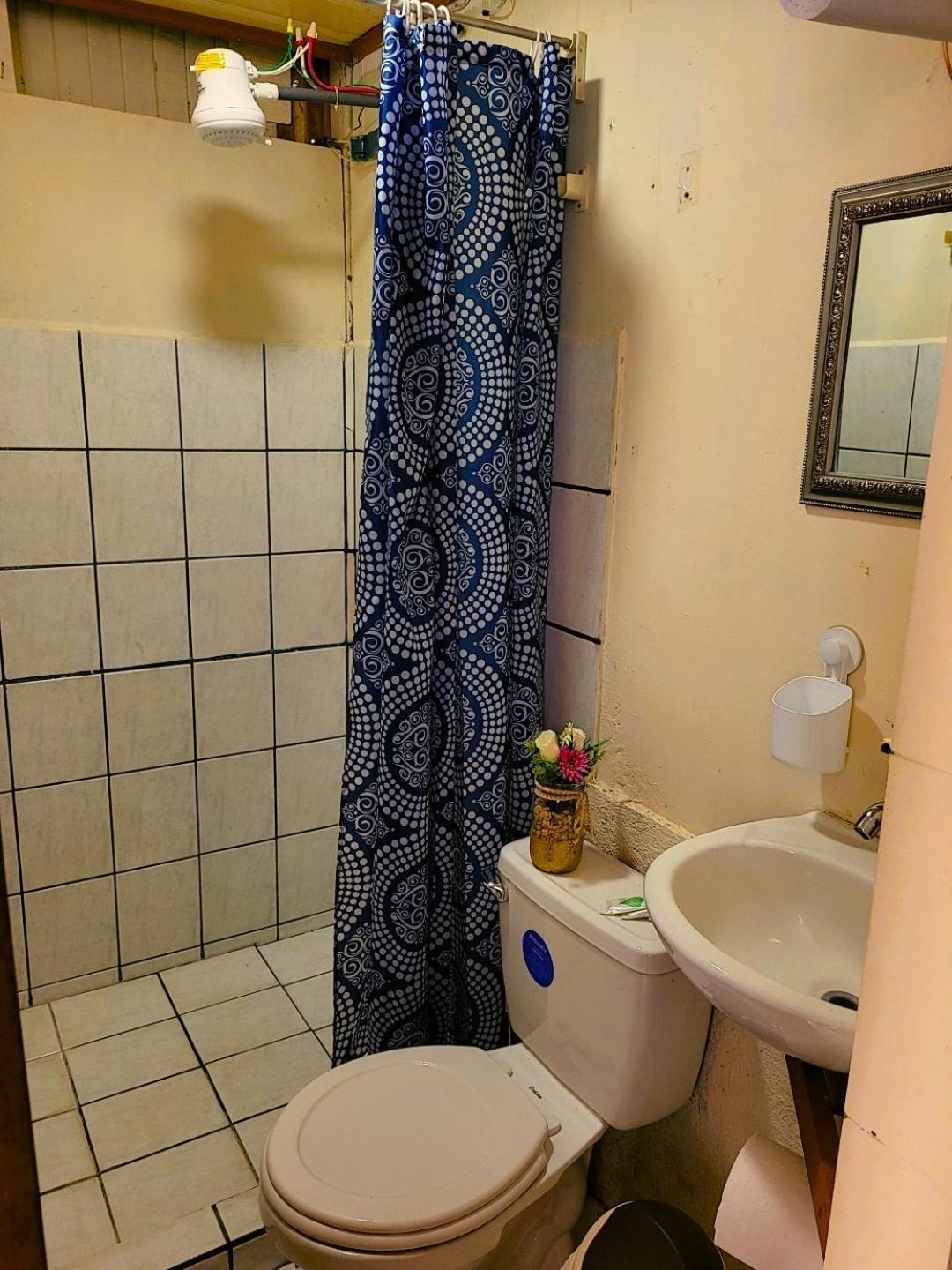 Tico Bed & Breakfast La Fortuna Dış mekan fotoğraf